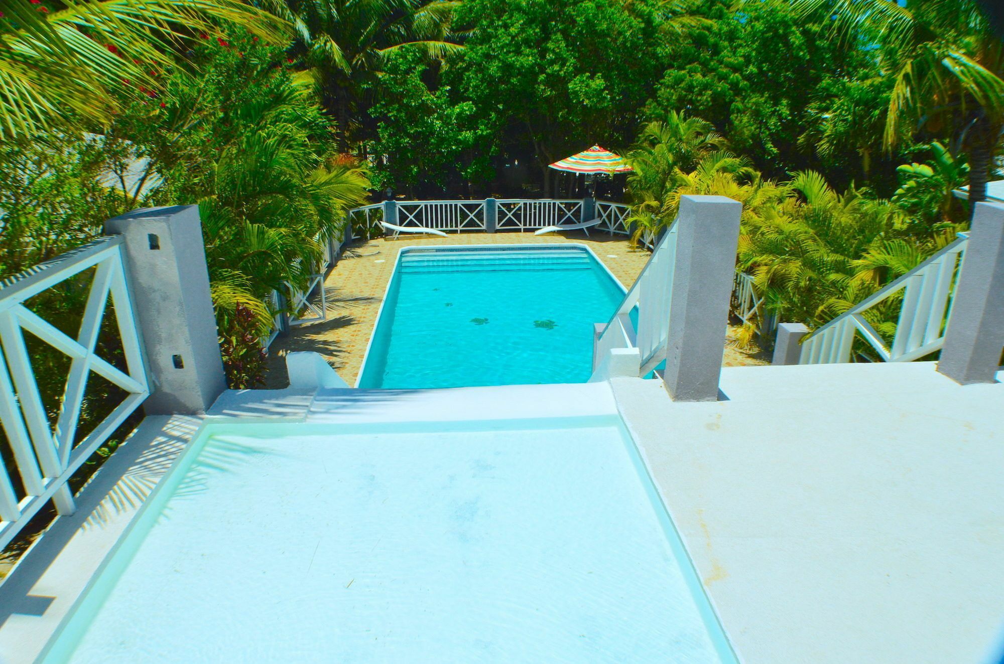 Sandy Toes & Salty Kisses Grace Bay Exterior photo